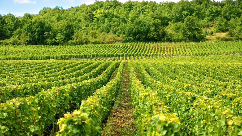 Valoración agropecuaria