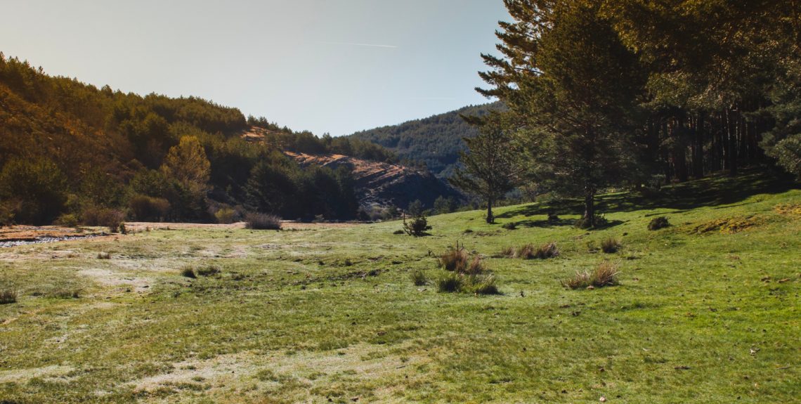 valoración de fincas de actividad cinegética